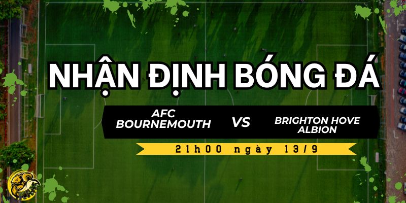 Dự đoán từ chuyên gia Socolive TV